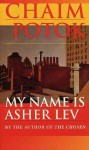 My Name Is Asher Lev - Chaim Potok