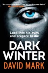 The Dark Winter (Aector McAvoy, #1) - David Mark