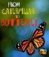 From Caterpillar to Butterfly - Anita Ganeri