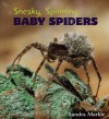 Sneaky, Spinning Baby Spiders - Sandra Markle