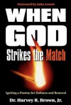 When God Strikes the Match - Harvey R. Brown