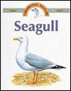 Seagull - Stephen Savage