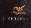 Nightsong - Ari Berk, Loren Long