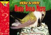 How and Why Birds Build Nests (How and Why Series) - Elaine Pascoe, Joel Kupperstein, Dwight Kuhn