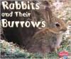 Rabbits and Their Burrows - Linda Tagliaferro