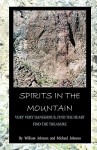 Spirits in the Mountain: Very Very Dangerous, Find the Heart, Find the Treasure - William Johnson, Michael Johnson