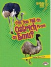 Can You Tell an Ostrich from an Emu? - Buffy Silverman