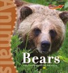 Bears - Martin Schwabacher, Terry Miller Shannon