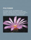 Polyoside: Cellulose, Glucane, Glycosaminoglycane, Glycogene, Amidon, Acetate de Cellulose, Gomme Arabique, Chitosane, Pectine, Cyclodextrine, Inuline, Nitrocellulose, Paroi Pectocellulosique, Agar-Agar, Acide Hyaluronique, Alginate - Livres Groupe