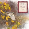 Letters From Eden: A Year at Home, in the Woods - Julie Zickefoose, Sy Montgomery