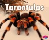 Tarantulas - Jeni Wittrock