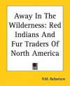 Away in the Wilderness - R.M. Ballantyne