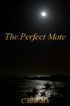 The Perfect Mate - C.E. Black