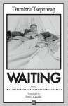 Waiting: Stories - Dumitru Tsepeneag, Patrick Camiller