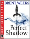 Perfect Shadow (Night Angel, #0.5) - Brent Weeks