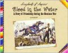 Blood in the Water: A Story of Friendship During the Mexican War - Pamela Dell