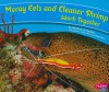 Moray Eels and Cleaner Shrimp Work Together (Pebble Plus: Animals Working Together) - Martha E.H. Rustad