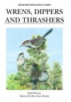 Wrens, Dippers and Thrashers - David Brewer, Barry Kent MacKay