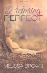 Picturing Perfect - Melissa Brown