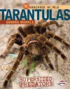 Arachnid World: Tarantulas: Supersized Predators - Sandra Markle