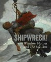 Shipwreck! Winslow Homer and "The Life Line" - Kathleen A. Foster