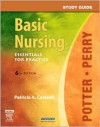 Basic Nursing: Essentials for Practice - Patricia A. Castaldi, Anne Griffin Perry