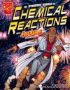 The Dynamic World of Chemical Reactions - Agnieszka Biskup