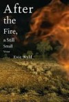 After the Fire, a Still Small Voice - Evie Wyld