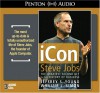 iCon Steve Jobs: The Greatest Second Act in the History of Business - Jeffrey S. Young, Barton Biggs