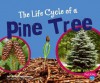 The Life Cycle of a Pine Tree - Linda Tagliaferro