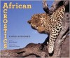 African Acrostics: A Word in Edgeways - Avis Harley, Deborah Noyes