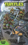 Teenage Mutant Ninja Turtles: New Animated Adventures Volume 3 - Kenny Byerly, Derek Fridolfs, Landry Walker