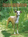 Italian Greyhounds Today - Ringpress Books