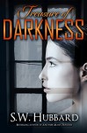 Treasure of Darkness: a romantic thriller (Palmyrton Estate Sale Mystery Series Book 2) - S. W. Hubbard