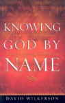 Knowing God by Name: Names of God That Bring Hope and Healing - David Wilkerson
