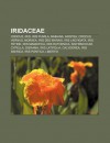 Iridaceae: Crocus, Iris, Crocus Vernus, Iris des Marais, Iris F - Livres Groupe