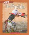 The Pueblo (True Books: American Indians) - Kevin Cunningham, Peter Benoit