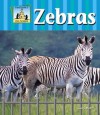 Zebras - Carey Molter