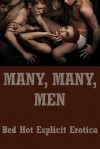 Many, Many Men: Five Gangbang Erotica Stories - Regina Ransom, Alice Drake, Maggie Fremont, Angela Ward, Marilyn More