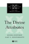 The Divine Attributes - Joshua Hoffman, Gary S. Rosenkrantz