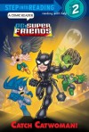 Catch Catwoman! (DC Super Friends) (Step into Reading) - Billy Wrecks, Mike DeCarlo, David D. Tanguay