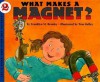 What Makes a Magnet? - Franklyn Mansfield Branley, True Kelley