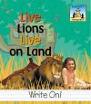 Live Lions Live on Land - Carey Molter