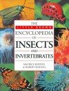 The Little Brown Encyclopedia Of Insects And Invertebrates - Maurice Burton, Peter Burton