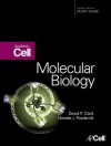 Molecular Biology: Academic Cell Update Edition - David P. Clark