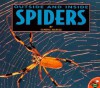 Outside And Inside Spiders - Sandra Markle