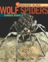 Wolf Spiders: Mothers on Guard - Sandra Markle, John Bianchi