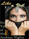 Like a Veil: Erotic Tales of the Arabian Nights - Cecilia Tan, Michelle Labbé, Sunny Moraine, Anya Levin, Angela Goldsberry, Sophia Deri-Bowen