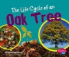 The Life Cycle of an Oak Tree - Linda Tagliaferro