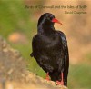 Birds of Cornwall and the Isles of Scilly - David Chapman